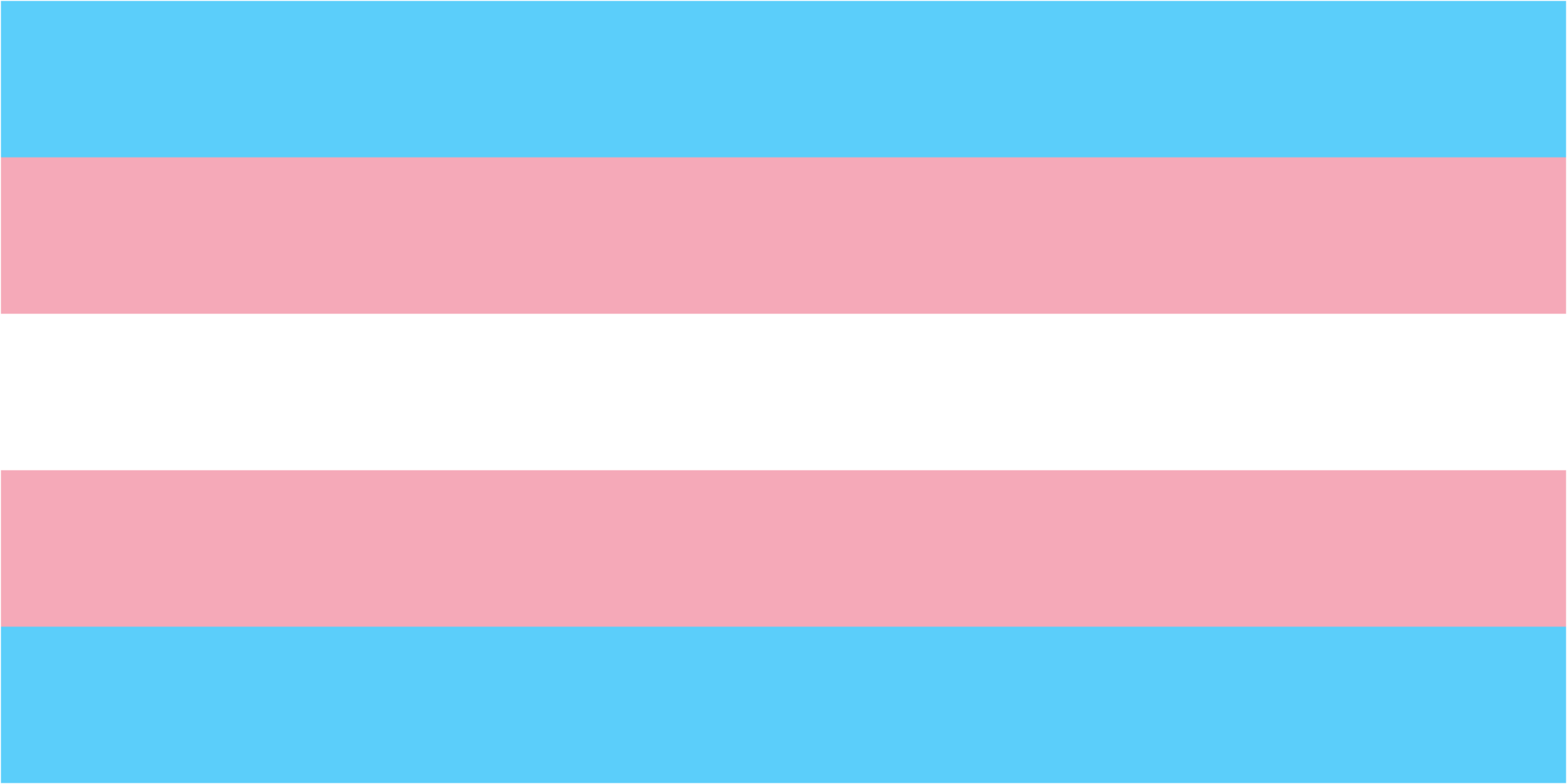 Trans Day of Visibility March Transgender Pride flag 2