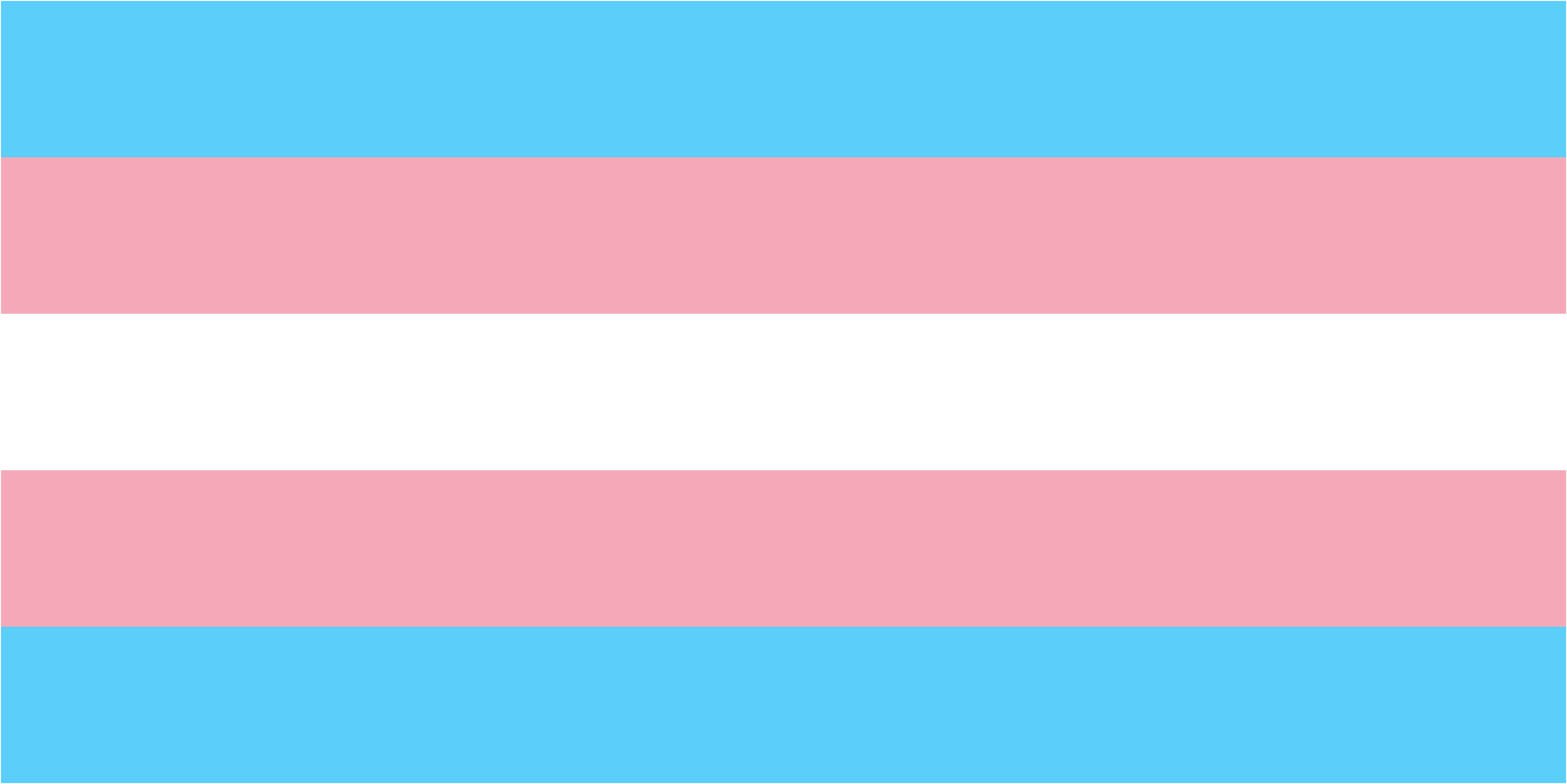 Trans Day of Visibility March Transgender Pride flag 2